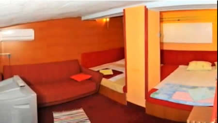 Plants: image 5 0f 12 thumb