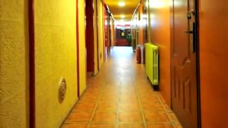 Plants: image 5 0f 12 thumb